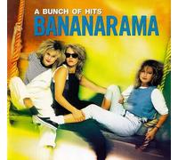 Bunch of Hits [IMPORT]