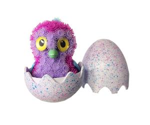 Bunchems Coffret Uf Hatchimals Bunchems (Asst)