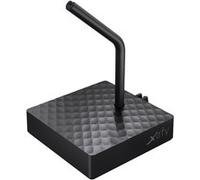 Bungee souris Xtrfy B4 noir G