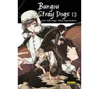 Bungou Stray Dogs 13