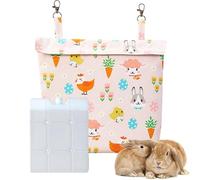 Bunny Cold Pack - Insert compact La Reine des Neiges, refroidisseur sûr pour animaux | Enveloppe rafraîchissante pour animaux de compagnie, tapis de congélation portable avec doublure isolante pour