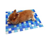 Bunny Cooling Pad - Pet Cooling Mat Chew Resistant Glass CoolingPad Lightweight Summer CoolingMat for Senior Puppy Hamster Car Crate Living Room Bedroom Home Outdoor Sleeping Use