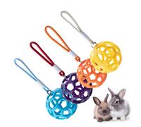 Bunny Having Balls - Boule D'alimentation De Foin Portable | Boule D'alimentation De Foin De Foin 4 Pièces - Petits Animaux De Distributeur De Mangeoire, Mâcher Jouets Avec Lanière