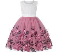 BUNNY LULU Robe pour Filles à épaule inclinée pour Demoiselle d'honneur, Princesse de Mariage, nœud d'anniversaire pour Enfants, soirée de Bal de fête de Boule (Rose 4-5 Ans)