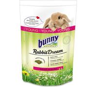 Bunny Nature Rabbit Dream Young