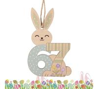 Bunny Wooden Ornament Decor, Hangable Easter Decoration, 6.7 Inch Size for Cute Spring, Lightweight Painted With Number Detail, Home Holiday Accessory, Seasonal Decor Use for Wall Kitchen Garden