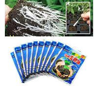 BUNRUN Lot de 10 sachets de poudre d'enracinement 10 g - Aide à la germination des fleurs, anthères - Poudre d'enracinement pour améliorer le taux de survie