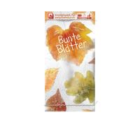 NSV - 3610 - MINNYS - Feuilles colorées - Jeu de Cartes