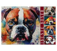 Bunte Boxer (Wandkalender 2026 DIN A2 quer), CALVENDO Monatskalender: Farbenfrohe Boxer-Portraits