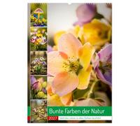 Bunte Farben der Natur (Wandkalender 2027 DIN A2 hoch), CALVENDO Monatskalender: Farben des Lebens ist voller lebendiger Eindrücke und vielfältiger Motive.