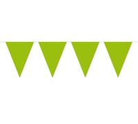 Bunting Green 10m with 15 Flags, Triangles Plastic