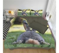 Buohwiwe Housse de Couette 240 x 260 Lapin Mignon Parure de lit Lièvre Imprimé 3D Adulte Réversible Set de Housse Couette 2 Personnes Microfibre Doux avec Taies d'oreiller a.6067