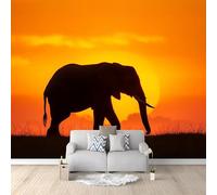 Buohwiwe Papier Peint Panoramique Animaux Africains Mural 250x175 cm 3D Papier Peint Intisse Faune Africaine Fresque Murale Chambre Coucher Salon Décoration Photo Poster Geant Murale q.3924