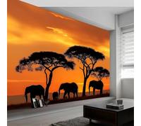 Buohwiwe Papier Peint Panoramique Animaux D'afrique Mural 150x105 cm 3D Papier Peint Intisse La Faune de L'afrique Fresque Murale Chambre Coucher Salon Décoration Photo Poster Geant Murale w.1919