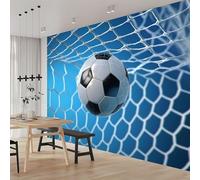 Buohwiwe Papier Peint Panoramique Ballon de Football Bleu Mural 150x105 cm 3D Papier Peint Intisse Sports de Balle Fresque Murale Chambre Coucher Salon Décoration Photo Poster Geant Murale w.3190