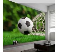Buohwiwe Papier Peint Panoramique But de Football Mural 300x210 cm 3D Papier Peint Intisse Sports de Balle Fresque Murale Chambre Coucher Salon Décoration Photo Poster Geant Murale w.3382