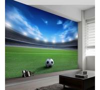 Buohwiwe Papier Peint Panoramique But de Football Mural 430x300 cm 3D Papier Peint Intisse Sports de Balle Fresque Murale Chambre Coucher Salon Décoration Photo Poster Geant Murale w.2899