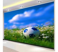 Buohwiwe Papier Peint Panoramique Fleurs de Football Mural 250x175 cm 3D Papier Peint Intisse Sports de Balle Fresque Murale Chambre Coucher Salon Décoration Photo Poster Geant Murale w.346