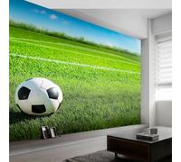 Buohwiwe Papier Peint Panoramique Football Mural 350x256 cm 3D Papier Peint Intisse Sports de Balle Fresque Murale Chambre Coucher Salon Décoration Photo Poster Geant Murale w.357