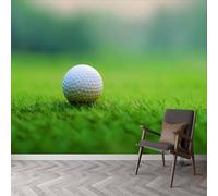 Buohwiwe Papier Peint Panoramique Golf Sportif Mural 300x210 cm 3D Papier Peint Intisse Balle de Golf Fresque Murale Chambre Coucher Salon Décoration Photo Poster Geant Murale w.725