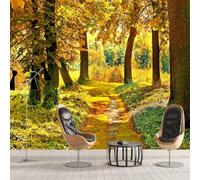 Buohwiwe Papier Peint Panoramique Paysage D'automne Mural 250x175 cm 3D Papier Peint Intisse Paysage Naturel Fresque Murale Chambre Coucher Salon Décoration Photo Poster Geant Murale q.7211