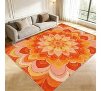 Buohwiwe Tapis Doux Poils 120 x 170 cm, Bohême Decoration Lavable | Ne Perd Pas Ses Poils, Doux idéal Décoration Salon, Tapis Salon Mandalas Antidérapant, Chambre