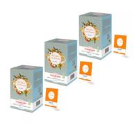 Buonefredde | Thé noir à l'orange infusé à froid 3 x 20 sachets | Thé glacé aux notes d'agrumes Rafraîchissant et désaltérant | Infusion instantanée sans sucre | Infusion naturelle pour l'été