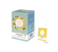 Buonefredde | Thé vert Gingembre et Citron infusé à froid - 20 sachets | Thé glacé aux notes épicées et à la fraîcheur citronnée | Infusion instantanée sans sucre | Infusion naturelle pour l'été