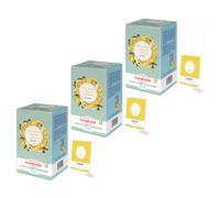 Buonefredde | Thé vert Gingembre et citron infusé à froid - 3 x 20 sachets | Thé glacé aux notes épicées et à la fraîcheur citronnée | Infusion instantanée sans sucre | Infusion naturelle pour l'été