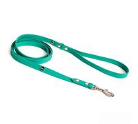 BURA Collier pour chien - 220 cm - Pour grands chiens - Léger et maniable - Ne se déforme pas - Durable - Imperméable - Non allergène - Vert phtalaque - Taille L