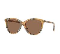 Burberry Femme BE4455 416373 Lunettes de soleil Acétate Marron Marron Pantos Normale