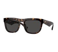 Burberry Homme BE4431U 300287 Lunettes de soleil Acétate Marron Gris Carré Normale