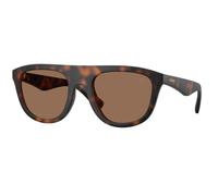 Burberry Homme BE4459U 353673 Lunettes de soleil Injecté Tortue Marron Carré Normale