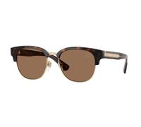 Burberry Homme Burberry BE4485 420573 Lunettes de soleil Injecté Marron Marron Ronde Normale