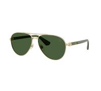 Burberry Homme Sunglass BE3167 - Couleur du Monture: Doré clair, Couleur de Lentille: Vert foncé