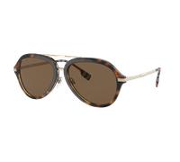 Burberry Homme Sunglass BE4377 Jude - Couleur du Monture: Havana foncé, Couleur de Lentille: Marron foncé