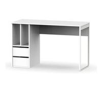 Bureau coloris blanc - Hauteur 74 x Longueur 120 x Profondeur 55 cm -PEGANE- blanc