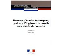 Bureaux D'études Techniques, Cabinets D'ingénieurs-Conseils Et Sociétés De Conseils - Idcc : 1486