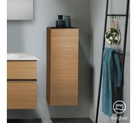 Burgbad Fiumo Meuble suspendu, 1 porte, UHEH035RF3960G0200,