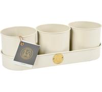 Burgon & Ball Ensemble pour Herbes Aromatiques - Crème - 1 kit
