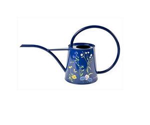 Burgon & Ball RHS British Meadow Arrosoir d'intérieur Bleu Taille M