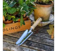 Burgon & Ball RHS Truelle de désherbage en Acier Inoxydable FSC 100%