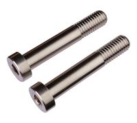 Burgtec Boulon de fixation d'amortisseur en titane pour Santa Cruz V10-7 gris