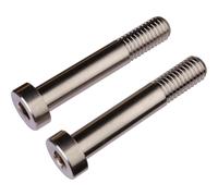 Burgtec Vis de fixation d'amortisseur en titane pour Santa Cruz V10-8 gris
