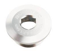 Burgtec Vis de manivelle pour Shimano Hollowtech II/moteur E-Bike gris