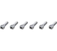 Burgtec Vis de Potence en Titane pour Enduro MK2 / MK3 gris universal