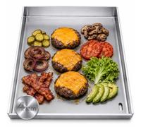 BURI 1 plancha de 30 x 37 cm, compatible avec Enders Monroe Pro série 4