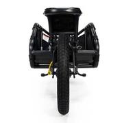 Burley Remorque vélo Coho XC – Argenté, max 31,8 kg, garçon noir
