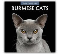 Burmese Cats 2026 Square Wall Calendar