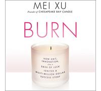 Burn: How Grit, Innovation and a Dash of Luck Agnited A Multi-Million Dollar Success Story [Import]